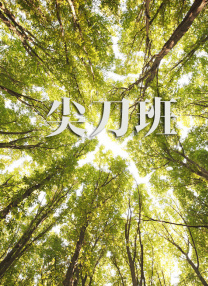 海报中小悟空大森与八戒大师形态各异，崭新的师徒关系也蕴含了极大的信息量。