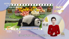 《动物乌托邦》新款预告片 树懒登场笑料出现 2015-11-24 迪斯尼筹备已久的影片《动物乌托邦》日前发布了新款的预告片。
